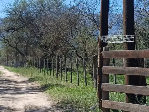 Terreno en Venta de 10000,0 m2