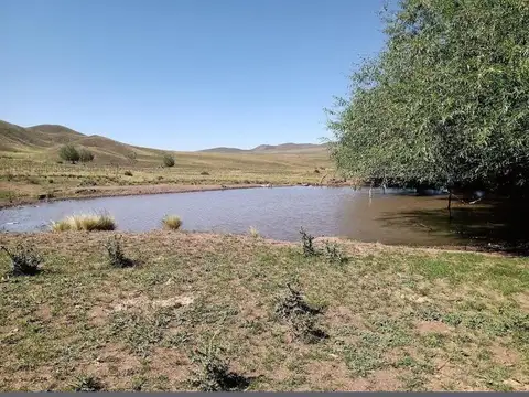 Terreno en Venta de 17000,0 m2