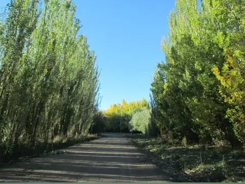 Se vende lote en la Carrera, Tupungato, Mendoza