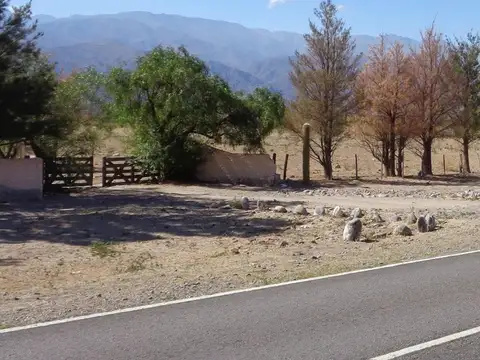 SE VENDE CAMPO EN STA MARÍA, 357 HAS. FACILIDADES