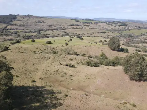 ruta 12