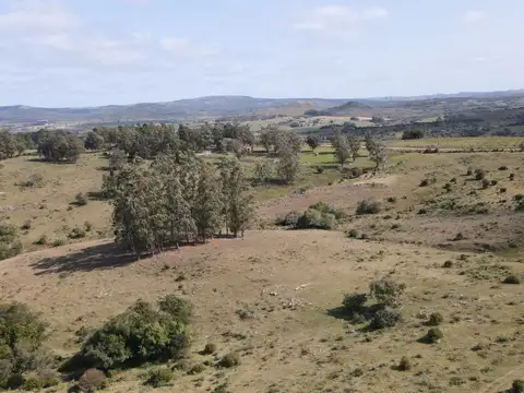 ruta 12
