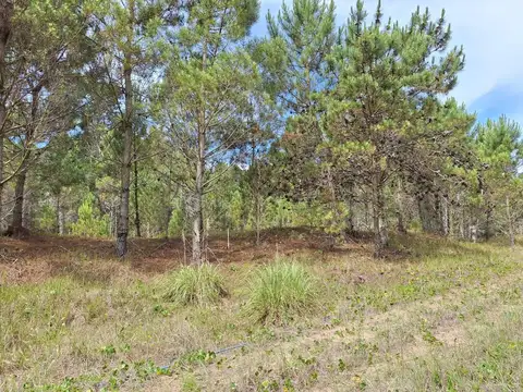 Ruta Provincial 11 KM 374 400