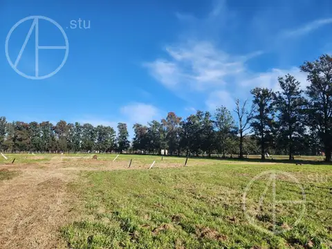 Presidente Derqui  al 2500