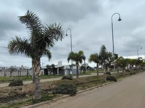 Terreno en Venta de 350,0 m2
