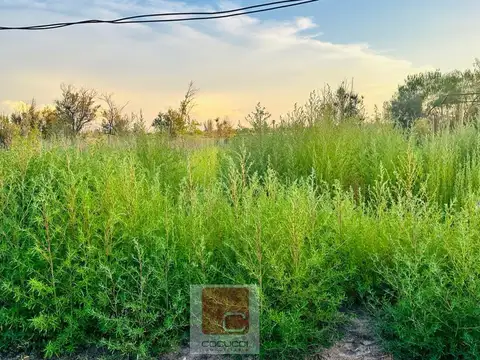 Terreno en Venta de 337,0 m2