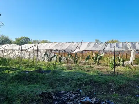 Terreno en Venta de 23000,0 m2