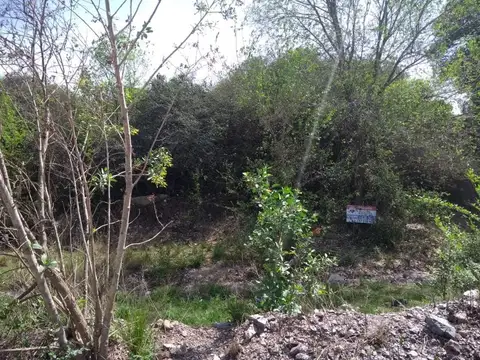 Camino del cuadrado 100