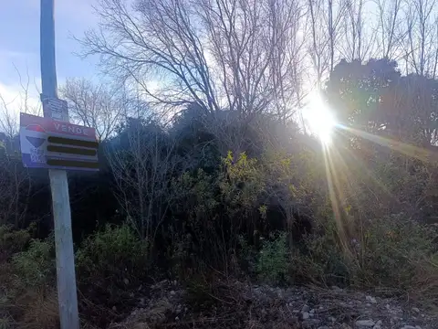 Camino del cuadrado 100
