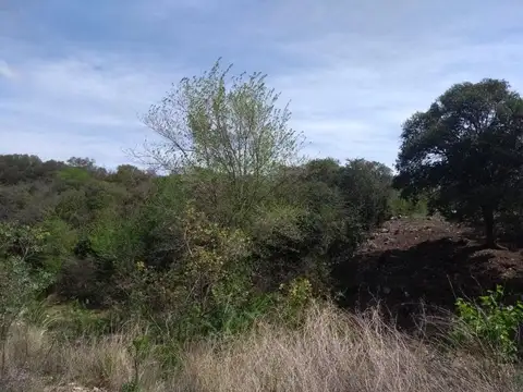 Terreno en Venta de 678,0 m2