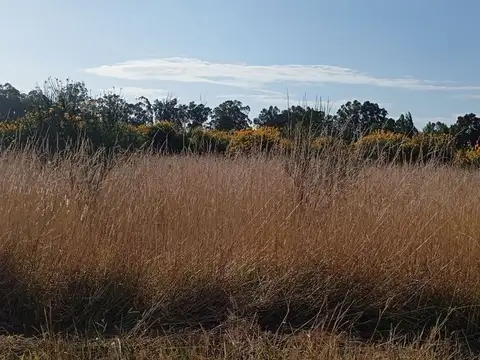 Terreno en Venta en Mar del Sud, USD 15.000