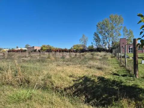 Venta terreno 1.000 mts2. El Cerrito, San Rafael