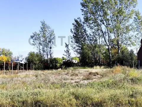 Terreno en Venta de 1000,0 m2
