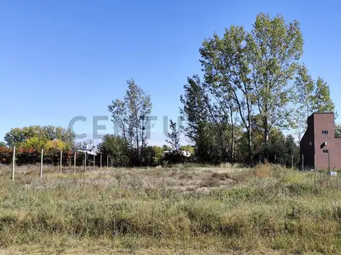 Venta terreno 1.000 mts2. El Cerrito, San Rafael