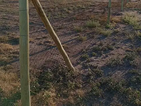 Pasaje Sidotti , Piso 0