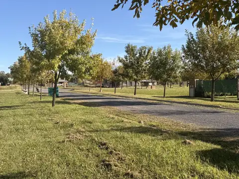 Terreno en Venta 44  mts Fondo