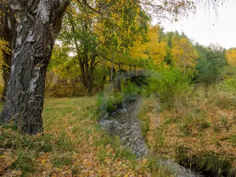 Terreno en Venta de 22822,0 m2