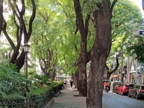 Departamento en Alquiler Temporal 40 años
