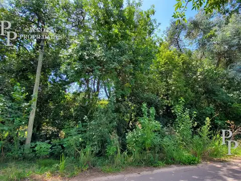 Terreno en Venta 50  mts Frente