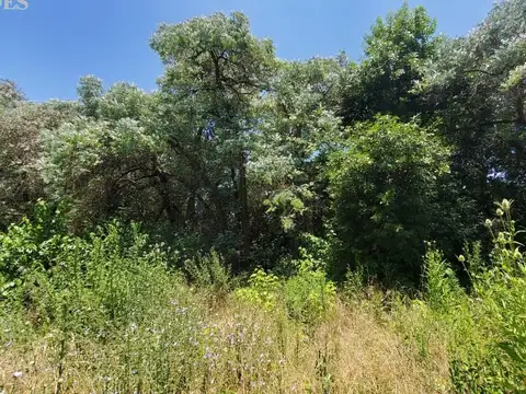 Terreno en Venta 50  mts Fondo