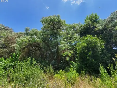 Terreno en Venta de 2500,0 m2