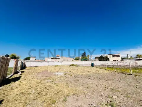 Terreno en Venta en Villa Hipódromo, USD 65.000