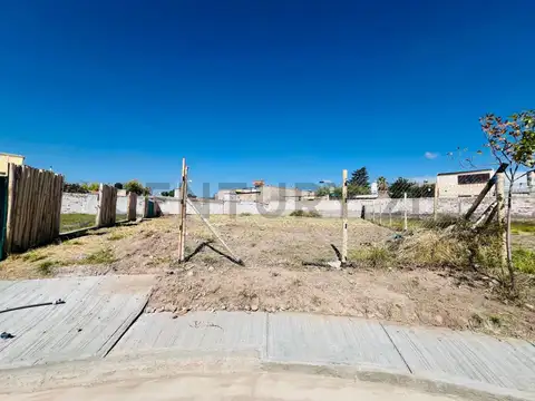 chuquisaca 1000