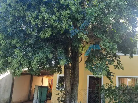 Los Robles del Monarca 100