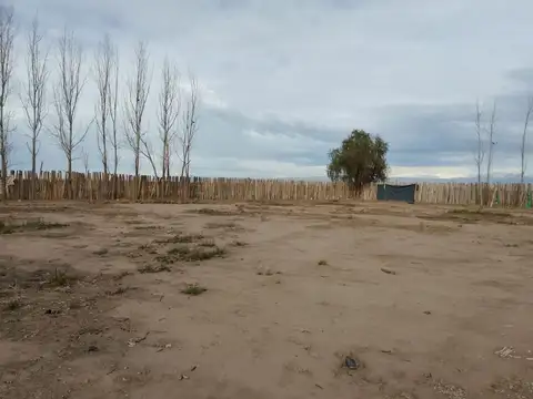 Galpon en Alquiler 10 años