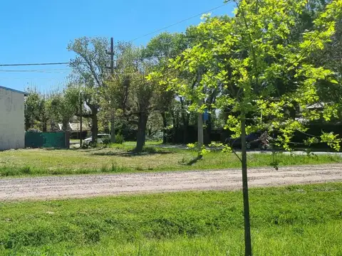 Jose Ingenieros y El Mortero