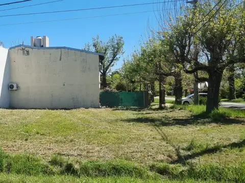 Terreno en Venta 20  mts Frente