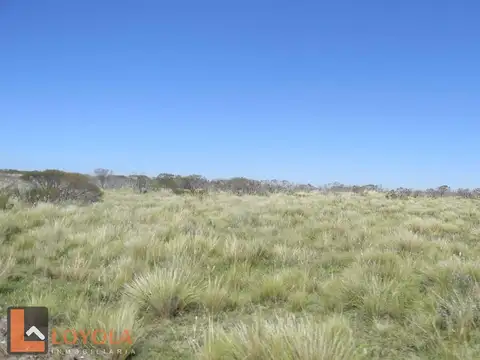 Campo en venta a 2000m de la Ruta 41, Las Chacras San Luis