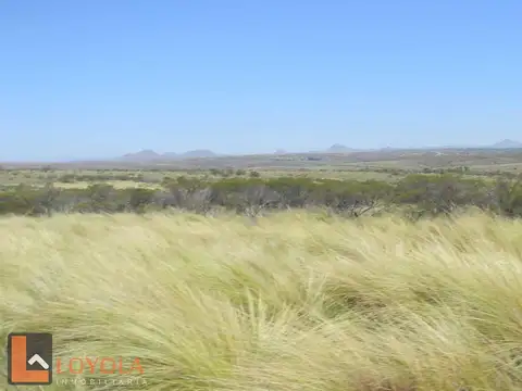 Campo en Venta de 214  ha