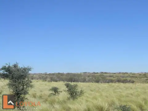 Campo en Venta de 214  ha