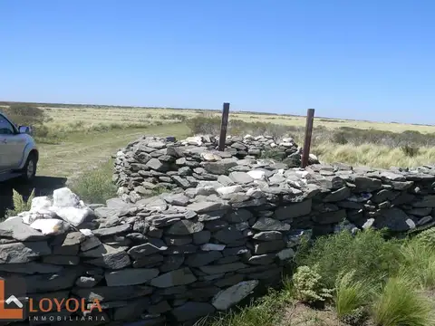 Ruta 41