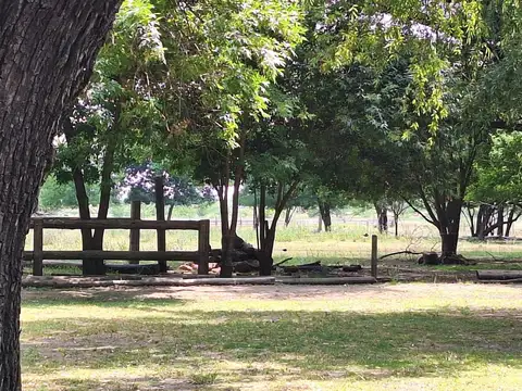 Campo en Zelaya