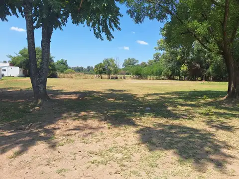 Campo en Zelaya