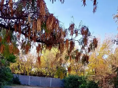 Terreno en Venta 14  mts Frente