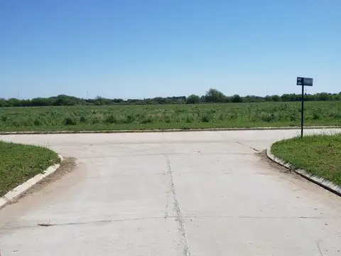 Terreno en Venta de 310,0 m2