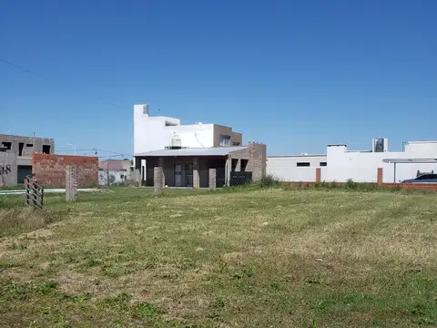 Clementina Temperini 1100