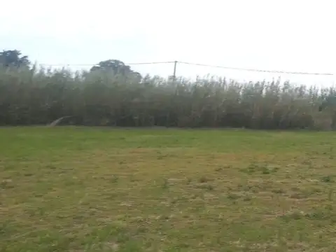 Terreno en Venta de 800,0 m2