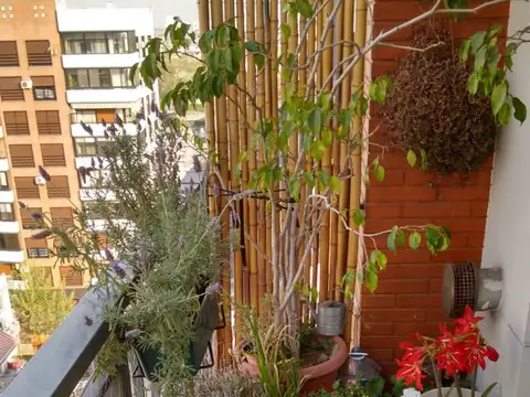 Departamento en Alquiler de 3 ambientes