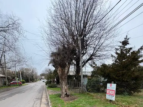 Terreno en Venta 10  mts Frente