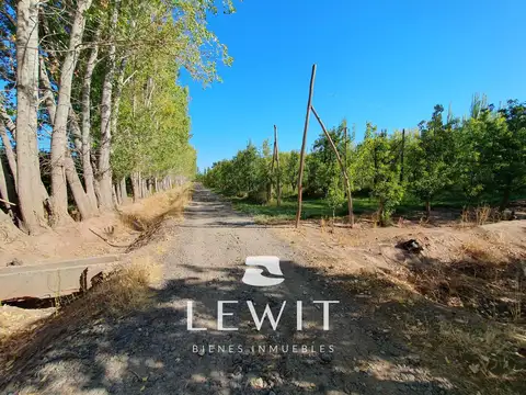 VENTA CHACRA EN PRODUCCIÓN  CINCO SALTOS  RÍO NEGRO