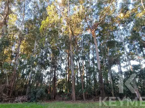 Terreno en Venta de 9588,0 m2