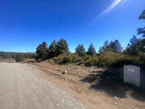 Paseo de Los Coirones