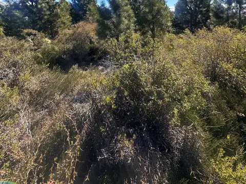 Terreno en Venta en Solares Del Este, USD 58.000