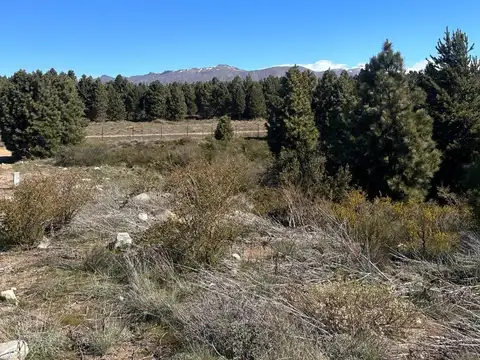 Terreno en Venta de 600,0 m2