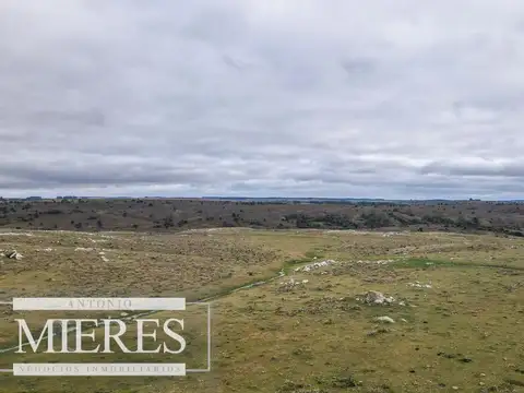 Estancia completa de 2400ha en Treinta y Tres y Cerro Largo