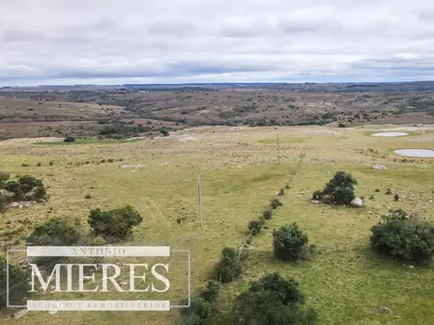 Estancia completa de 2400ha en Treinta y Tres y Cerro Largo